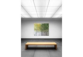 Jung-forest-120x100.jpg